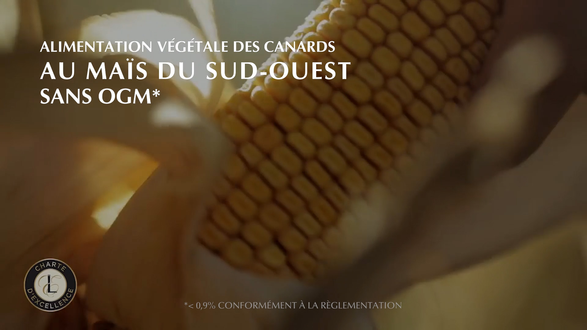 Vidéo RSE agro-alimentaire